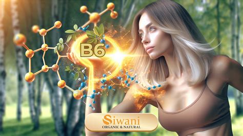 Главная страница